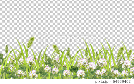 シロツメクサとねこじゃらしのイラスト素材