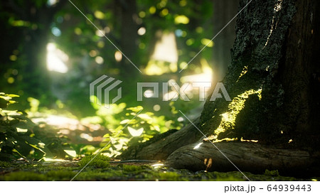 Sunlight rays pour through leaves in a rainforest 64939443