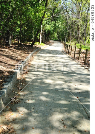 遊歩道 遊歩道 64939505