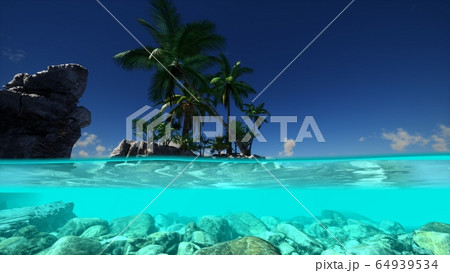 Split view cross section of sea water and palm 64939534
