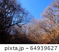冬空 64939627