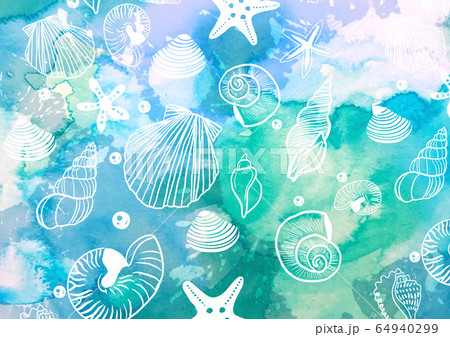 海の貝殻のイラストのイラスト素材