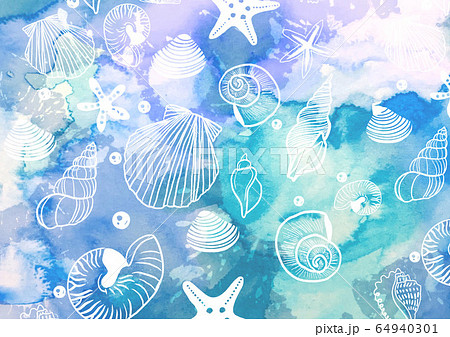 海の貝殻のイラストのイラスト素材