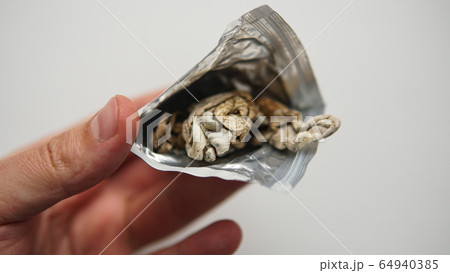 Strains of psilocybin mushrooms close-up 64940385