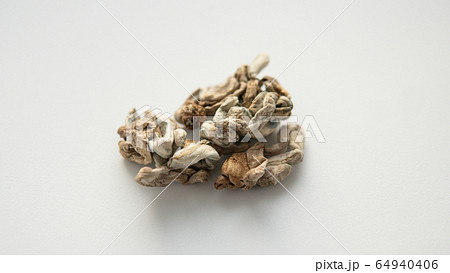 Medical research of psilocybin mushrooms 64940406