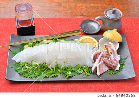 国産の生の ヤリイカ の刺身 お造り 新鮮な刺身 いか 烏賊 イカ 魚介類 の写真素材