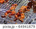 ベトナム料理 64941679