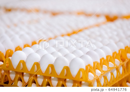 Stack of eggs on tray in the shop Stack of eggs on tray in the shop 64941776