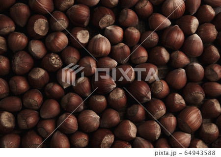 Hazelnut. Fresh organic filbert. Nuts macro background. 64943588