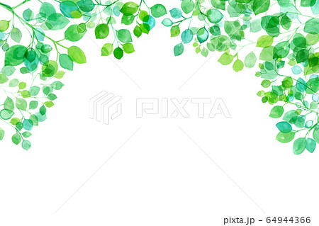 新緑 太陽光に透過し輝く枝葉の水彩イラスト フレーム背景のイラスト素材