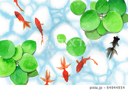 水彩で描いた泳ぐ金魚と浮草のイラスト素材