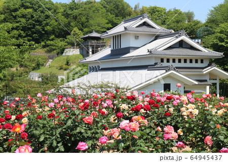 かわら館のバラ園 64945437