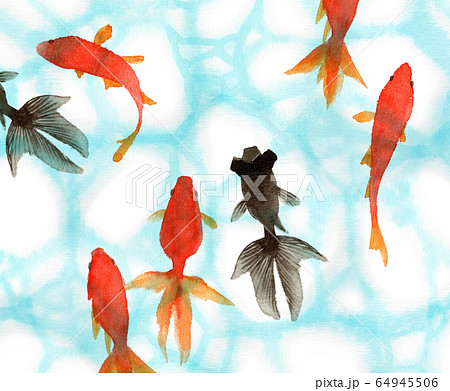 水彩で描いた泳ぐ金魚のイラスト素材