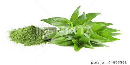Green Kariyat herbal powder and capsule on white Green Kariyat herbal powder and capsule on white 64946548