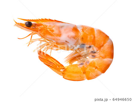 Cooked shrimps on white background. Cooked shrimps on white background. 64946650
