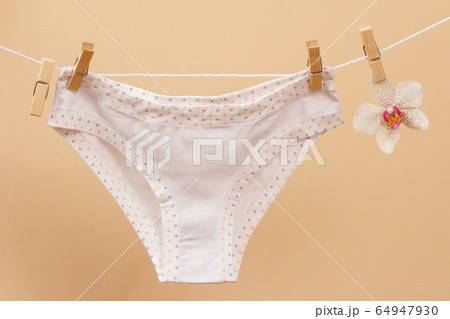Beautiful women's cotton panties on beige 64947930