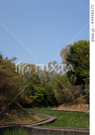 谷戸_0496 64948272