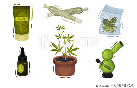 Cannabis Plant as Cosmetic and Smoking Product Vector Set Cannabis Plant as Cosmetic and Smoking Product Vector Set 64948714