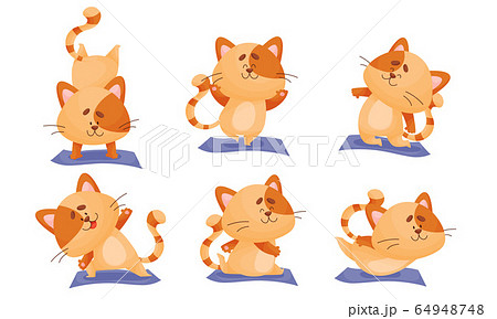 Cartoon Cat with Striped Tail Doing Yoga on Blue Mat Vector Set 64948748