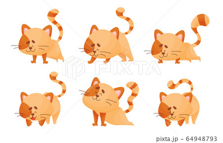 Cartoon Cat With Striped Tail Standing In Yoga のイラスト素材