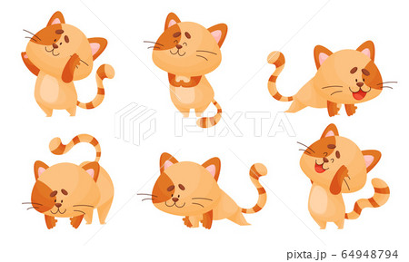 Cartoon Cat With Striped Tail Standing In Yoga のイラスト素材
