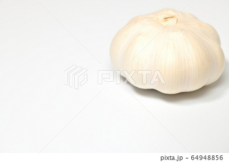 野菜 にんにく 野菜 にんにく 64948856