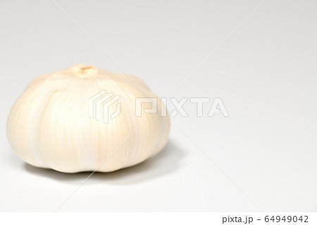 野菜 にんにく 野菜 にんにく 64949042
