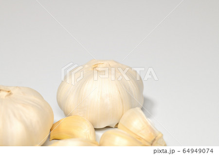 野菜 にんにく 野菜 にんにく 64949074