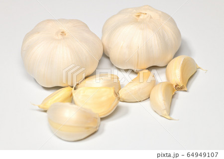 野菜　にんにく 64949107