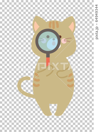 Cat with magnifying glass - Stock Illustration [64949344] - PIXTA