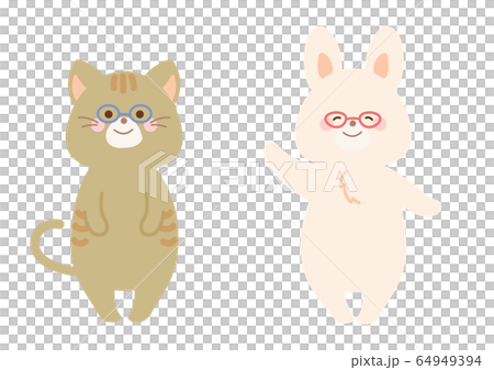 貓和兔子戴著眼鏡 貓和兔子戴著眼鏡 64949394