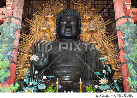 東大寺 大仏尊像 奈良の大仏 奈良県奈良市 の写真素材