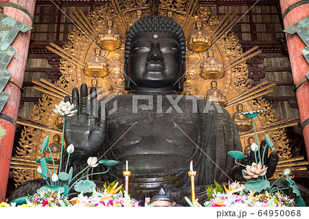 奈良の大仏 東大寺 大仏尊像 （奈良県奈良市）の写真素材 [64950068