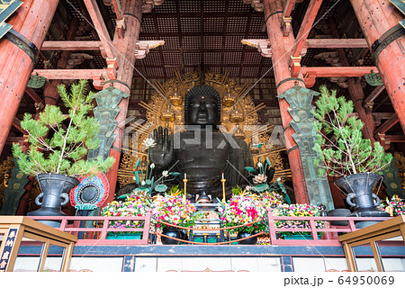 奈良の大仏 東大寺 大仏尊像 奈良県奈良市 の写真素材