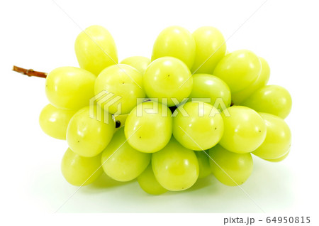 シャインマスカット 64950815
