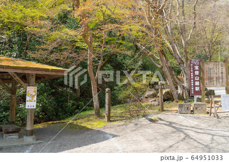 宝登山麓駅付近 宝登山麓駅付近 64951033