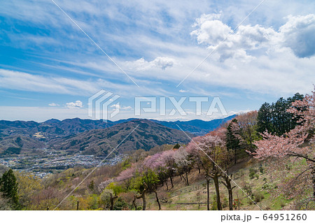 宝登山山頂駅付近 宝登山山頂駅付近 64951260
