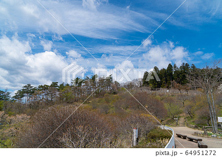 宝登山山頂駅付近 宝登山山頂駅付近 64951272