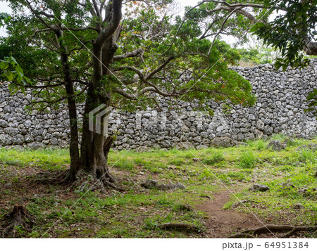 中世を偲ばせる糸数城跡　南国の楽園　沖縄 64951384