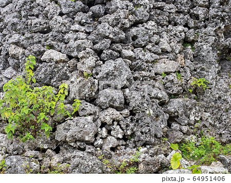 中世を偲ばせる糸数城跡　南国の楽園　沖縄 64951406