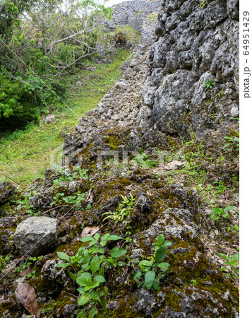 中世を偲ばせる糸数城跡 南国の楽園 沖縄 中世を偲ばせる糸数城跡 南国の楽園 沖縄 64951429