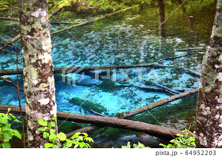 北海道 摩周湖 神の子池 青い池の写真素材