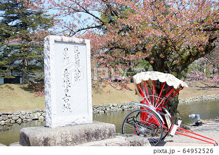 日本国宝　特別史跡　彦根城 64952526