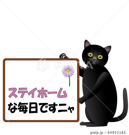 STAY　AT　HOME7　ステイホームな毎日ですニャ 64953183