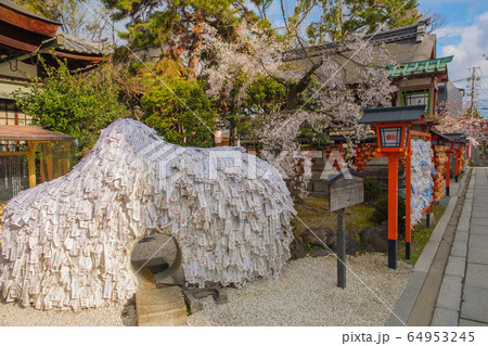 京都　安井金比羅宮 64953245