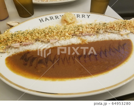 巨大カツカレー 64953280