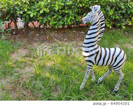 Small zebra statue in the garden 64954201