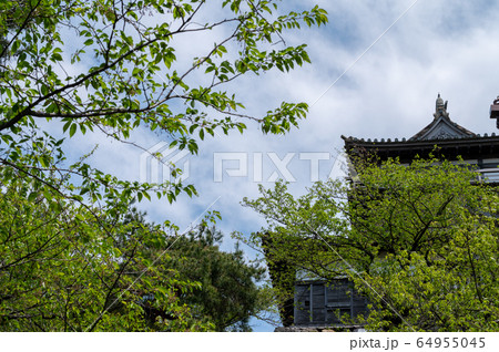 福井県　丸岡城（現存する日本最古の天守閣）2020年5月上旬 64955045