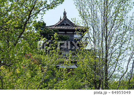 福井県　丸岡城（現存する日本最古の天守閣）2020年5月上旬 64955049