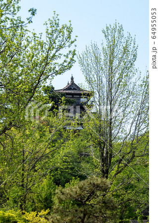 福井県　丸岡城（現存する日本最古の天守閣）2020年5月上旬 64955053